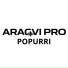 Aragvi Pro