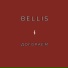 Bellis