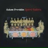 Adam Franklin