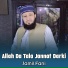 Jamil Fani