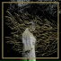 Forest Swords