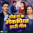 Guddu Yadav, Riya Raj