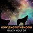 Gavin Wolf Dj