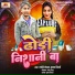 Krishna Nidardi, Jyoti Chauhan