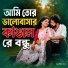 Amir Ali