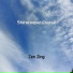 Zen Zing
