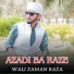 Wali Zaman Raza