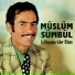 Müslüm Sümbül