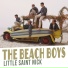 The Beach Boys
