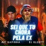 mc sapinha, Dj Blebyt