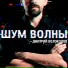 Дмитрий Колоколов