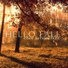 Jazz Instrumental Relax Center