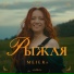 MEIERs