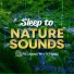 Relaxing White Noise