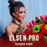 Elsen Pro