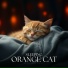 Cat Music