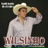Wilsinho - O Fera da Sanfona
