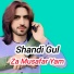 Shandi Gul
