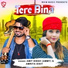 Amit Singh Ammy feat. Amrita Dixit