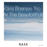 Karel Boehlee Trio