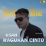 Ariel Ibnu