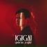IGIGAI