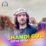 Shandi Gul