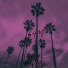 RAY PALMS