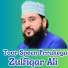 Zulfiqar Ali