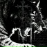 DYNAMIS, DARKXHAWK