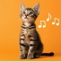 RelaxMyCat, Cat Music Dreams, Cat Music Zone