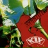Kix