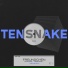 Tensnake