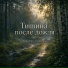 Терапия Тишины