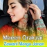 Maeen Orakzai