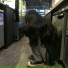 Shinpi
