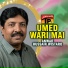 Anwar Hussain Wistaro