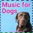 Relax My Dog, Dog Music Dreams
