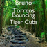 Bruno Torrens