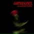 Ambient Light Orchestra