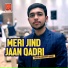 Raza ul Mustafa Qadri