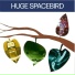 Huge Spacebird