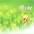 妙蓮華