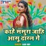 Lalu Ray