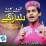 Azam Qadri