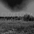 полтора