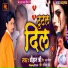 Chauhan Ji