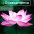 Relax Rilassamento Wellness Club