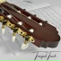 Smooth Guitar Zone