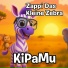 KiPaMu